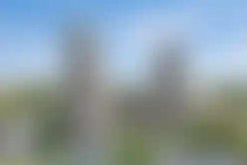 Дубровка от Гранель